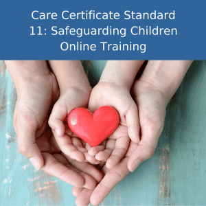 Safeguarding online training cover image
