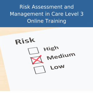 risk assessment and management online training