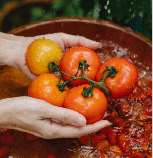 Food hygiene level 3 course in the Uk with someone showing tomatoes and washing them