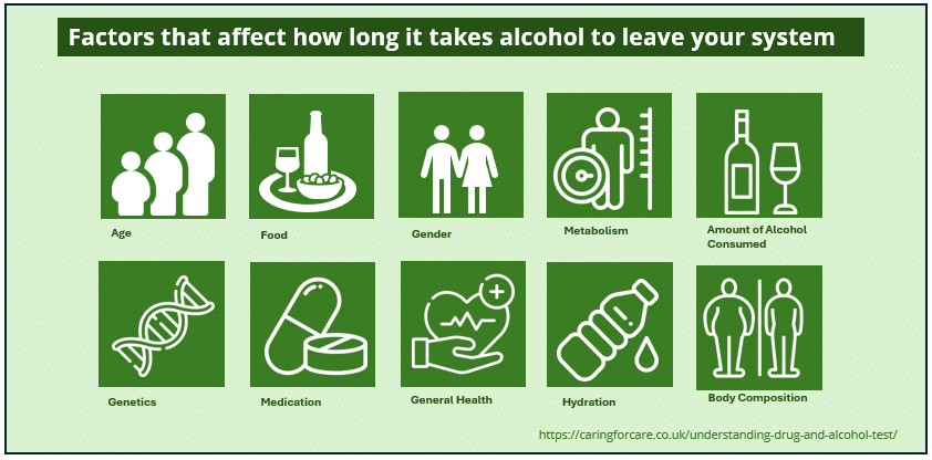 Infographic shows the factors that could affect how long alcohol will stay in your system.