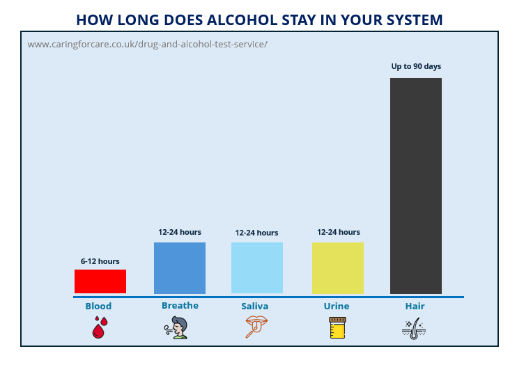 infographic shows alcohol detection window time in the body